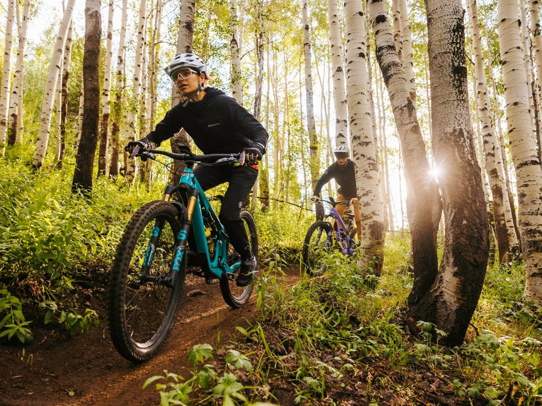 Mountain bikers pedal through dense forest. 