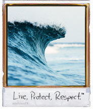 Ocean Minded