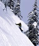 Arbor