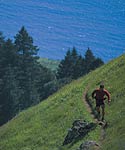 Montrail