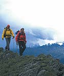 Suunto