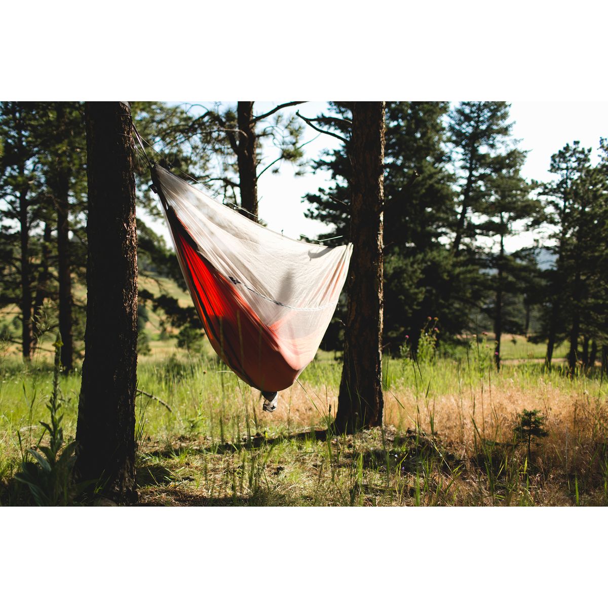 Kammok Dragonfly Insect Net
