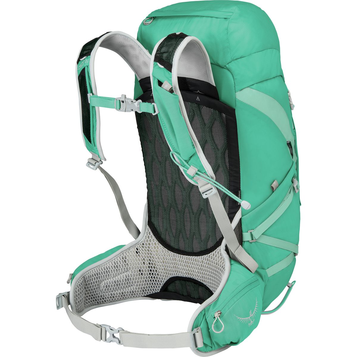 Osprey Packs Tempest 30L Backpack Women's
