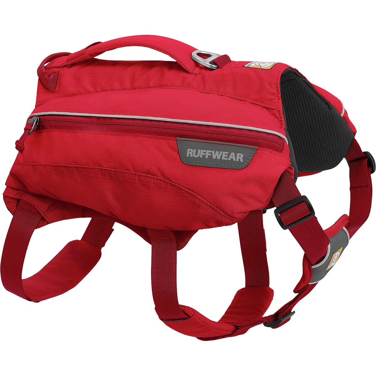 dog running backpack