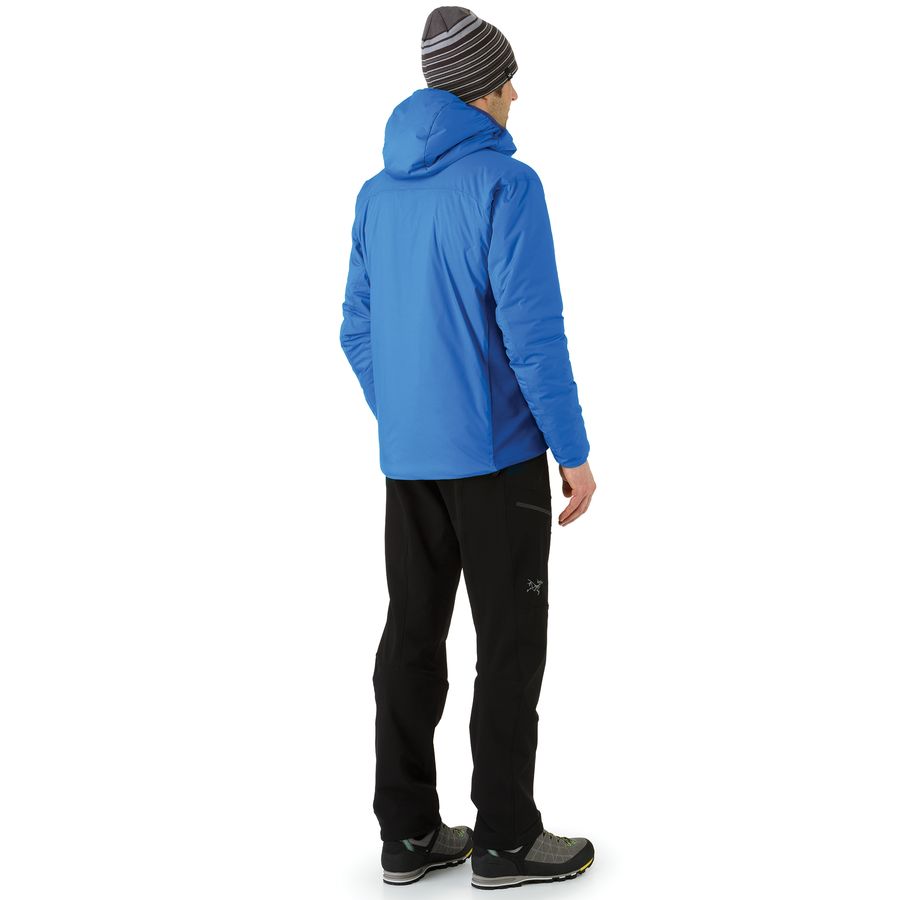 Arc'teryx Atom LT Hooded Insulated Jacket - Men's&nbsp;Back