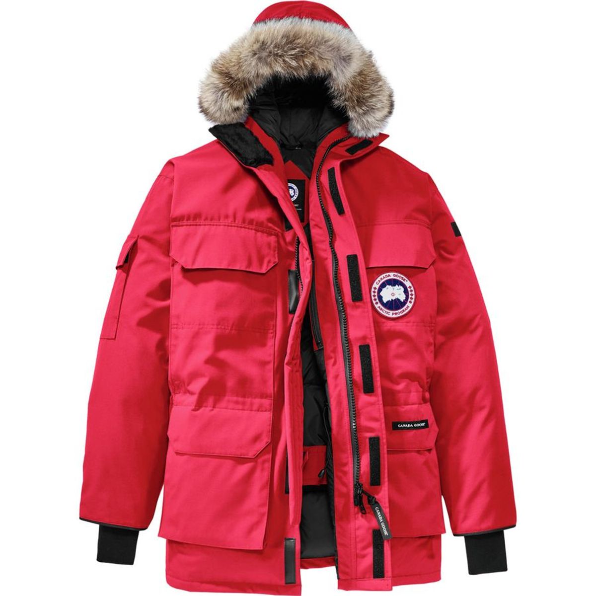 Canada Goose Expedition Down Parka - Men&#39;s | mediakits.theygsgroup.com