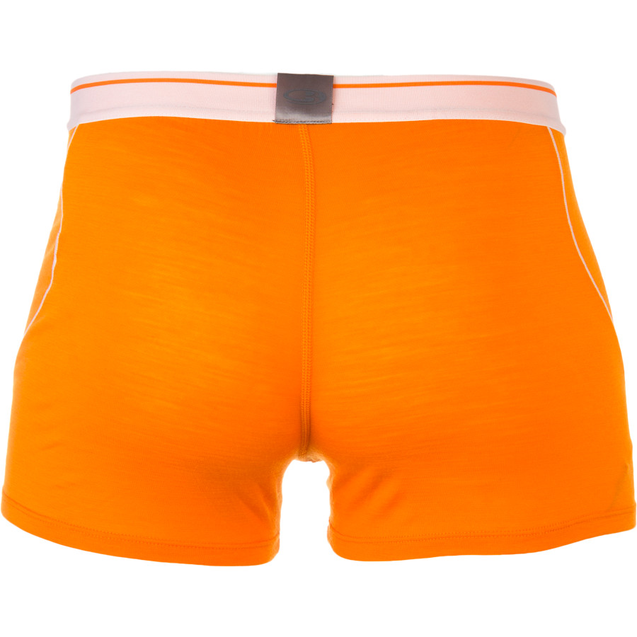 Icebreaker BodyFit 150-Ultralite Anatomica Boxer - Men's&nbsp;Back