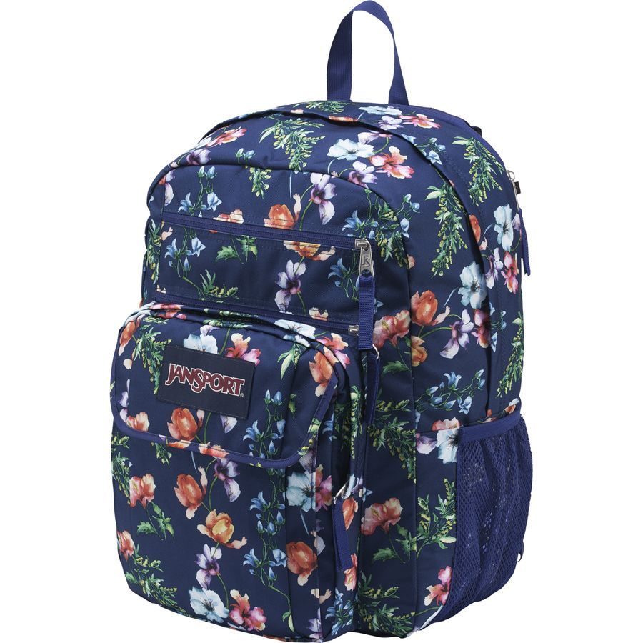 jansport mountain backpack