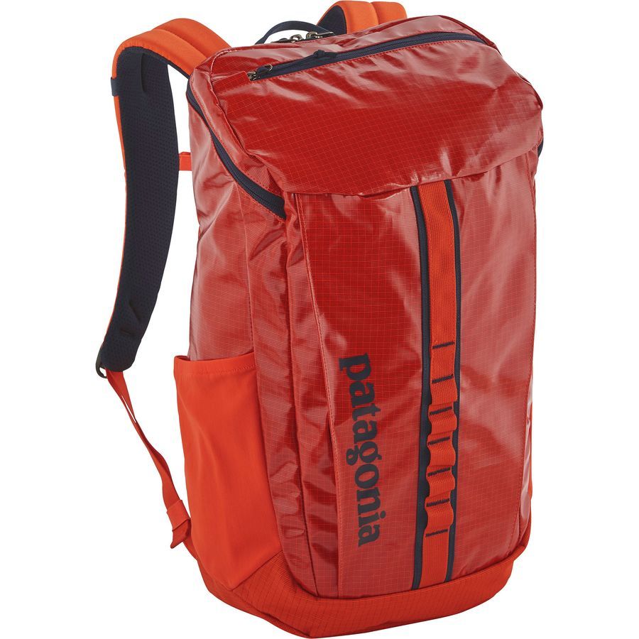 Patagonia Black Hole 25L Backpack
