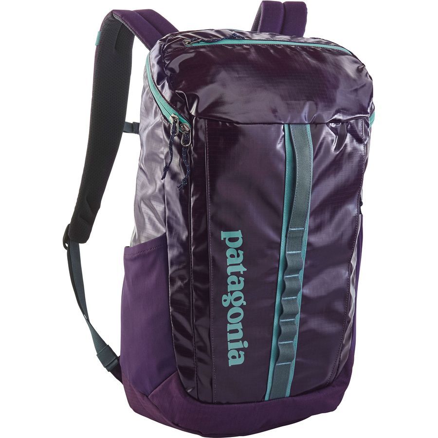 Patagonia Black Hole 25L Daypack 1526cu in