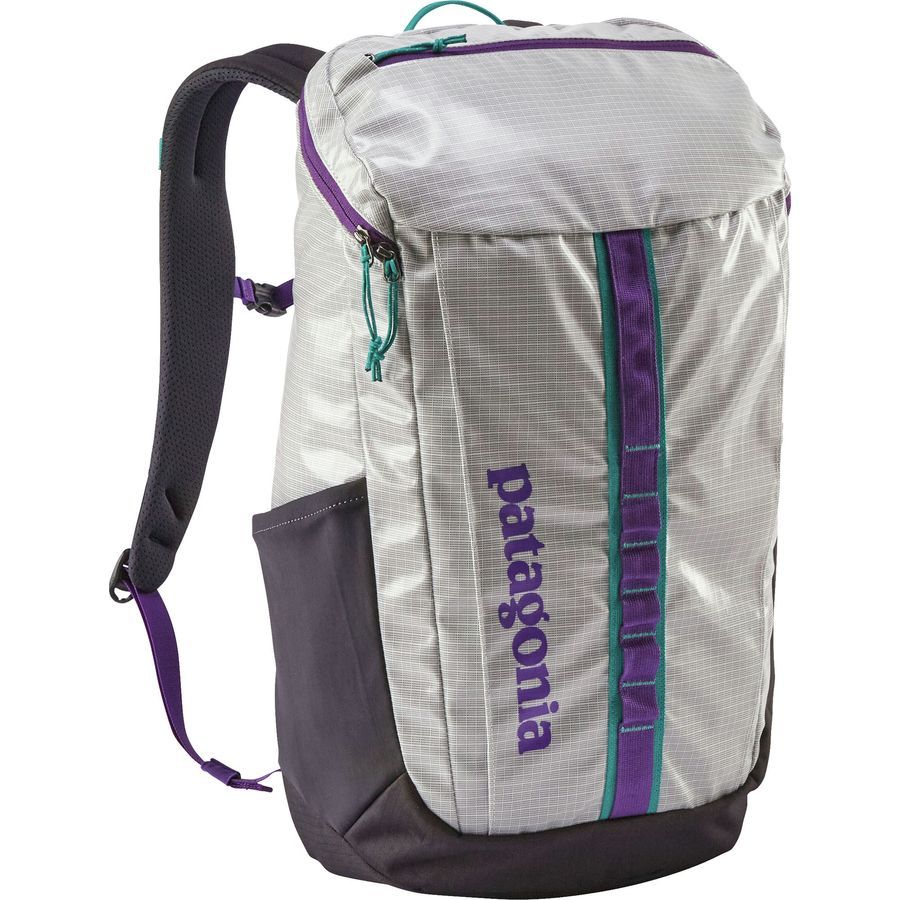 Patagonia Black Hole 25L Backpack