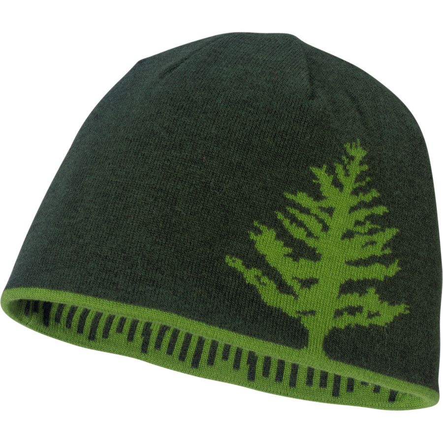 patagonia flying fish beanie