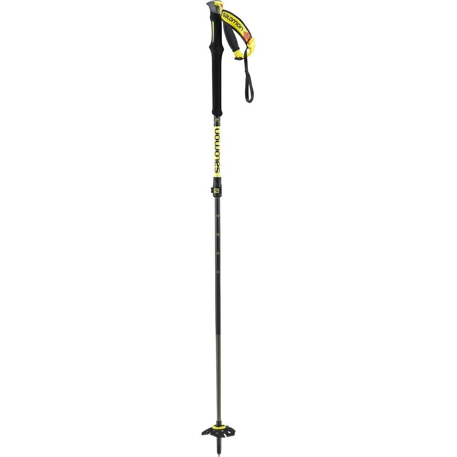 salomon carbon poles