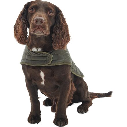 Barbour - Baffle Quilted Dog Coat