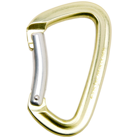 Black Diamond - Positron Carabiner