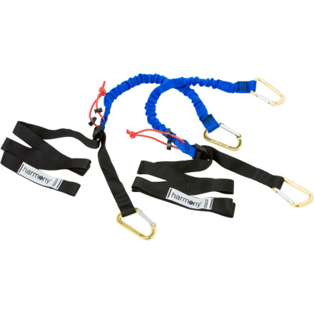 Harmony Shock Strap Tie down Set of 2
