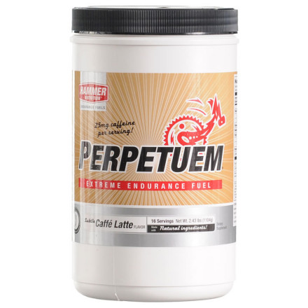 Hammer Nutrition - Perpetuem Endurance Fuel