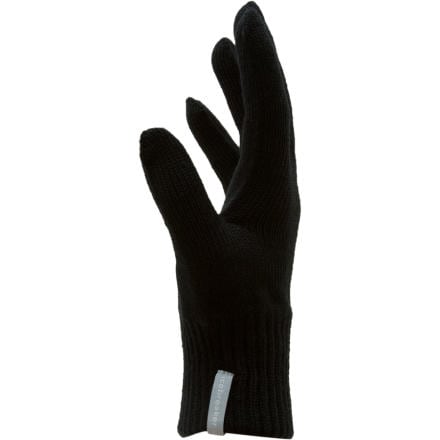 Icebreaker - Glove 320