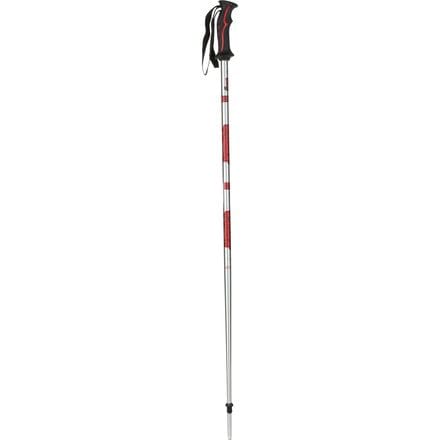 Joystick - Fame Ski Pole