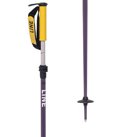 Paintbrush Ski Poles