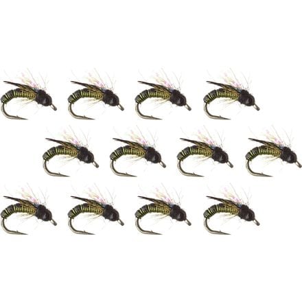 Montana Fly Company - Wired Caddis - 12-Pack - Olive