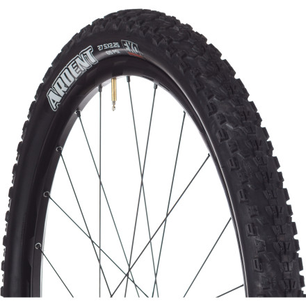 Maxxis -  Ardent EXO Tire - 27.5in