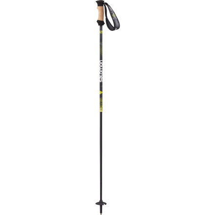 Salomon - Element Ski Pole