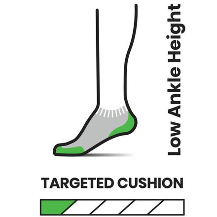 Smartwool - Run Targeted Cushion Stripe Low Ankle Sock - Women's