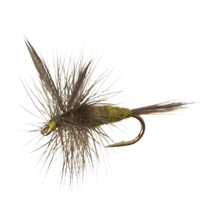 Umpqua - Blue Wing Olive - 2-Pack