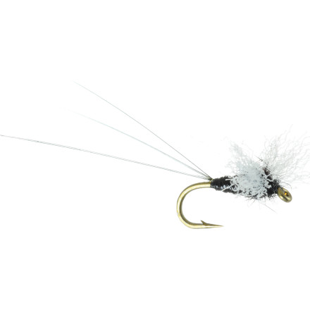 Umpqua Chubby Trico Spinner - 6-Pack