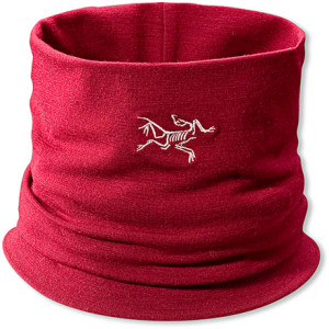 Arc'teryx Rho LTW Neck Gaiter