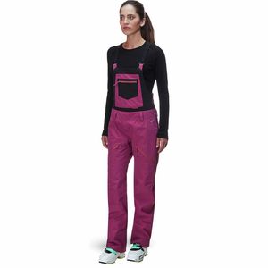 Backcountry x Flylow Patsey Marley Bib Pant - Women's