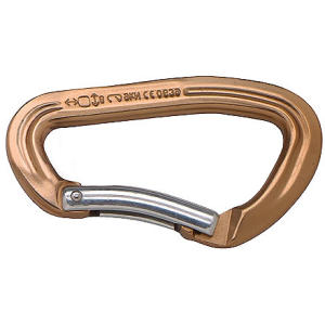 Black Diamond Dynotron Anodized Carabiner - 2005