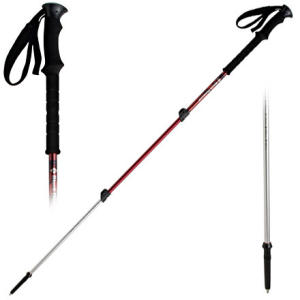 Black Diamond Trail Trekking Poles - 1 Pair - 2006