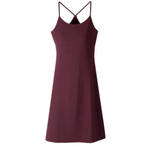 Cloudveil Track Dress - Women's - 2009