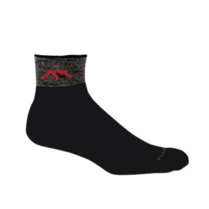 Darn Tough Merino Wool 1/4 Cushion Sock