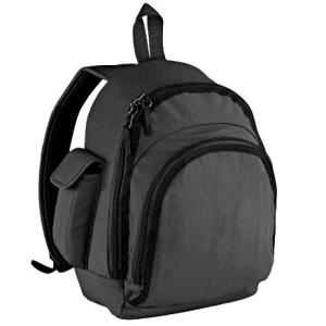 Eagle Creek Travel Bug Pack - 2005