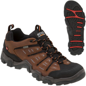 Ecco USA, Inc Manatee Lo GTX Hiking Shoe - Men's - 2007