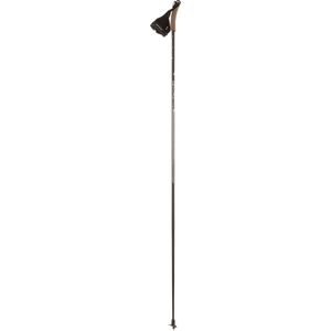 Fischer RC 10 Quick Fit Ski Pole Price