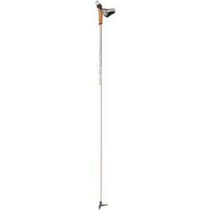 Fischer RC Vision Pole