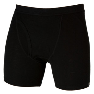 Icebreaker Boxers w/ Fly - Men's - 2006