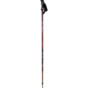 Joystick The Sauce Ski Poles - 2007