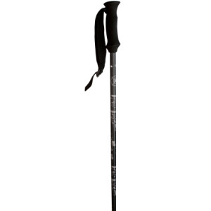 K2 V6 Ski Pole  - 2008