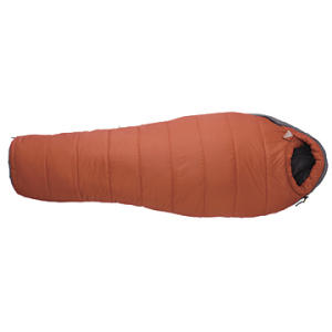 Kelty Sonora Sleeping Bag: 20 Degree Polarguard - 2006