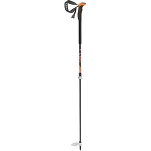 LEKI Aergonlite 2 Carbon Ski Pole Best Price