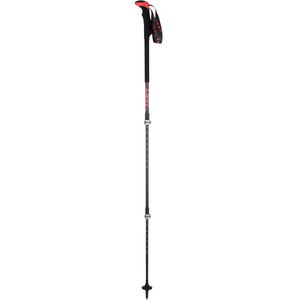 trekking leki