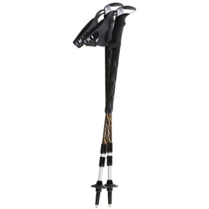 LEKI Devine Aergon XL Antishock Trekking Poles - Women's - 1 Pair - 2009