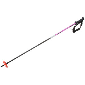 Life-Link Variant Ski/Probe Pole