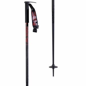 Line Wallischtick Ski Poles