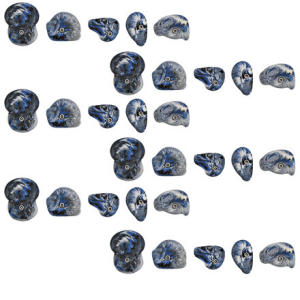 Metolius Mini Jugs - 30 Pack  - 2007
